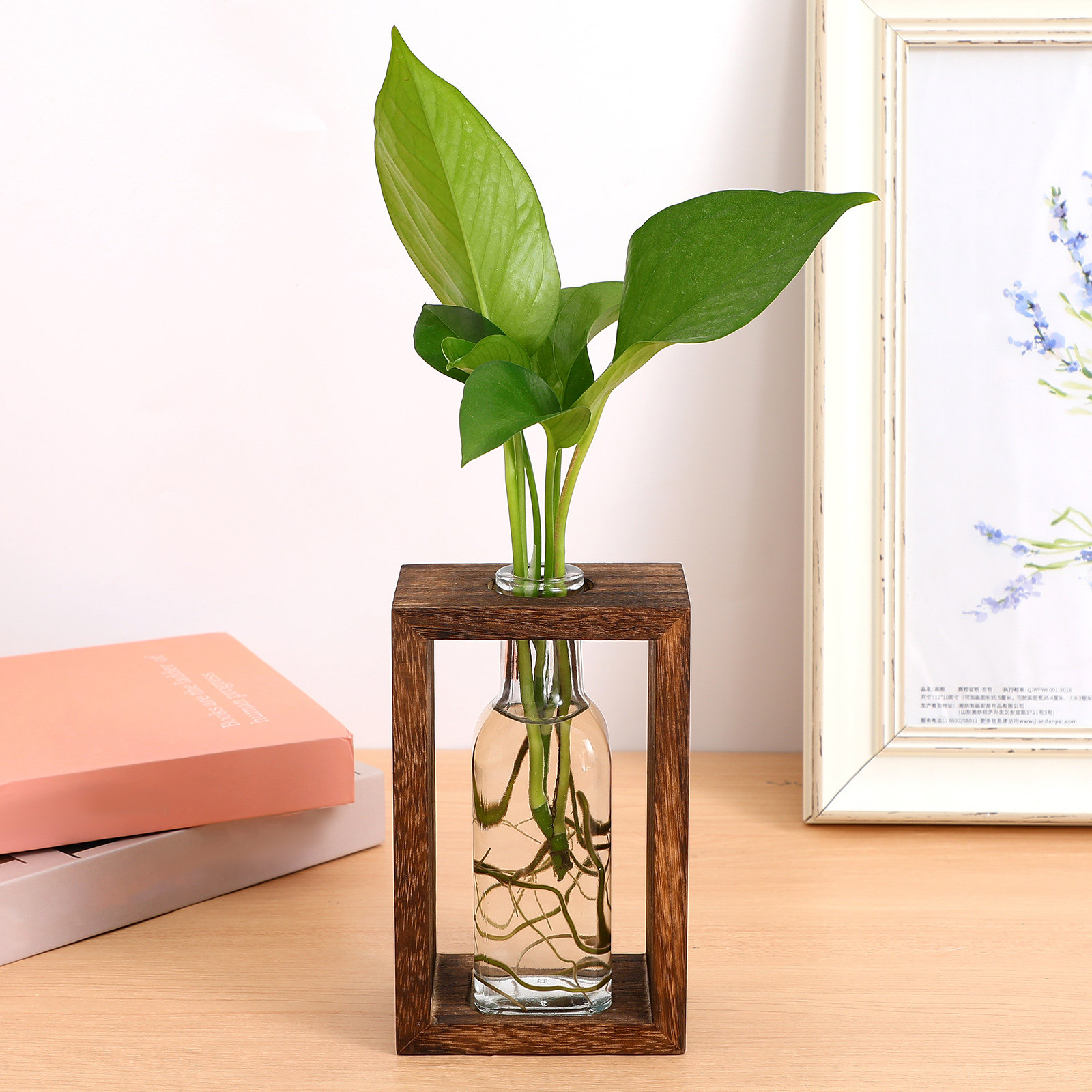 Terrarium Glass Bottle - 1Set Clear Glass Terrarium Bottle with