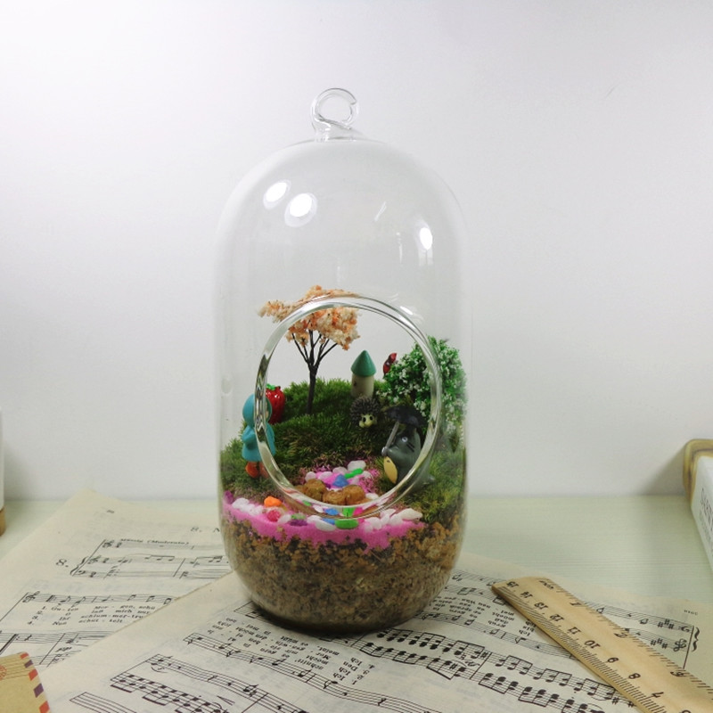 2pcs/pack 10*20cm Big Size Cyl - Terrarium Glass Bottle review and price