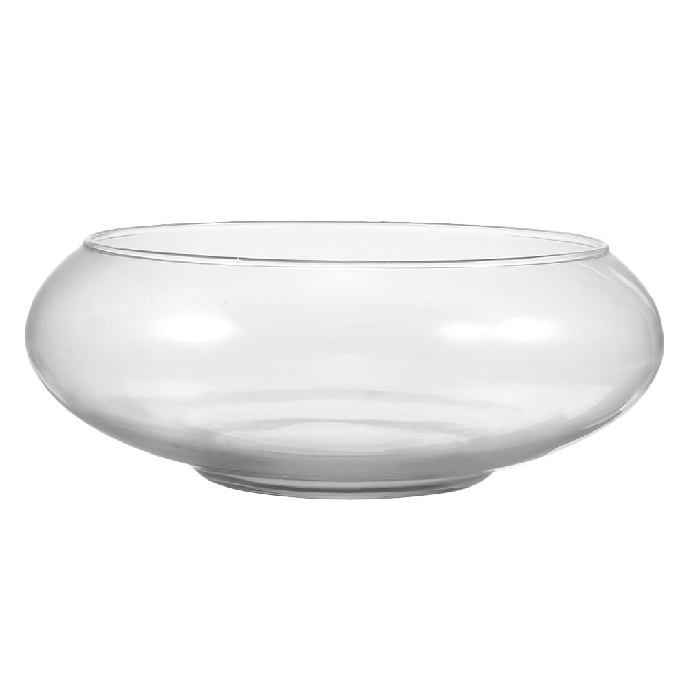 Wide Mouth Glass Vase Narcissu - Terrarium Glass Bottle review and price