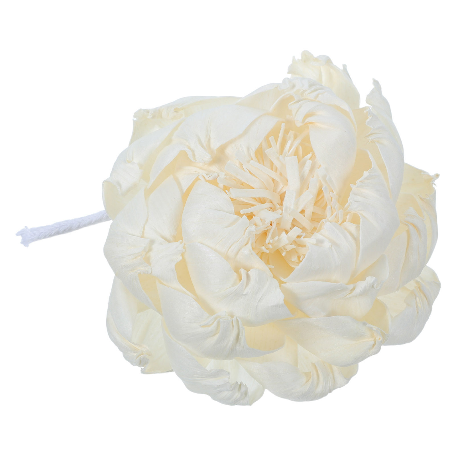 Peony Head Fragrance Diffuser  - Home Decor Essentials review and price