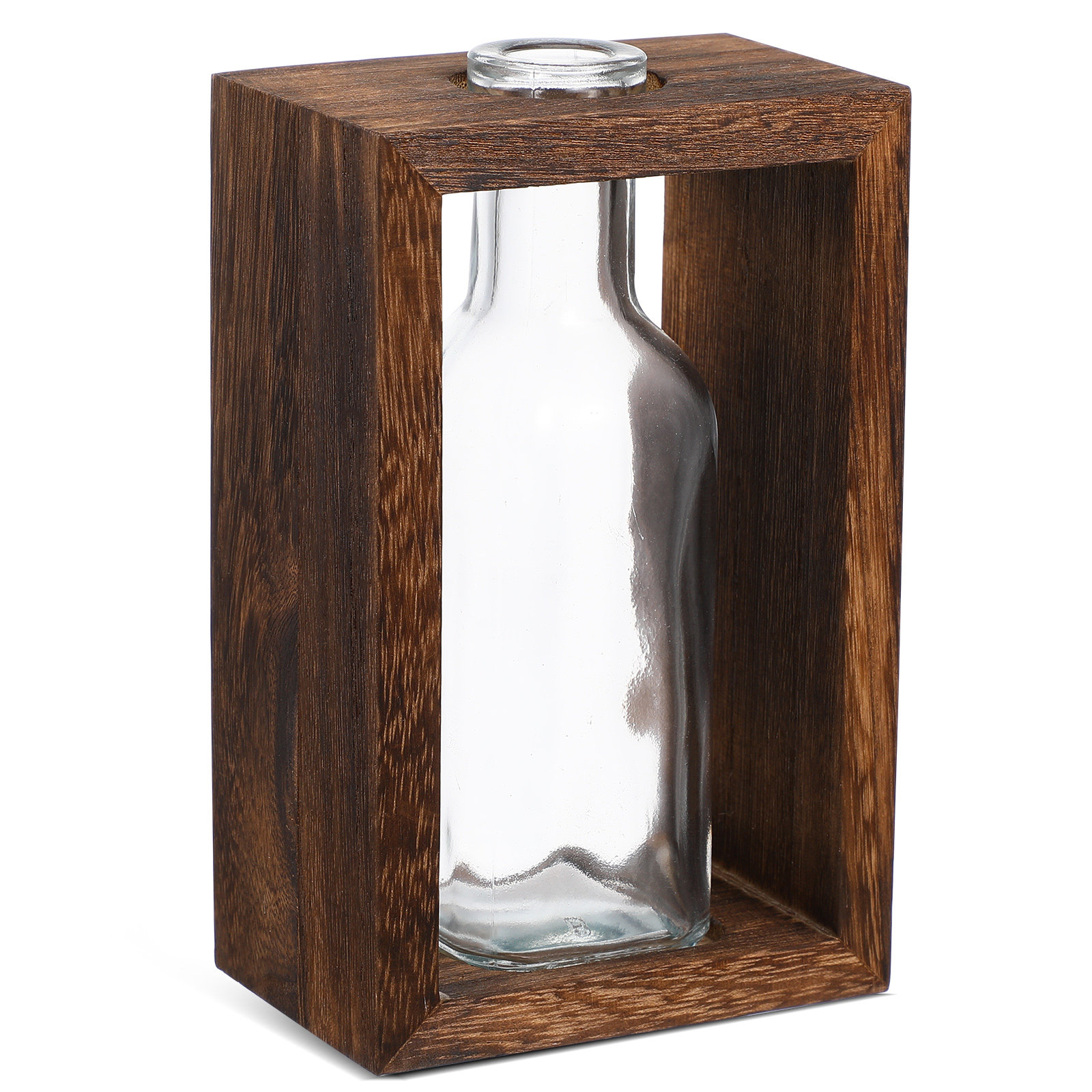1Set Clear Glass Terrarium Bot - Terrarium Glass Bottle review and price