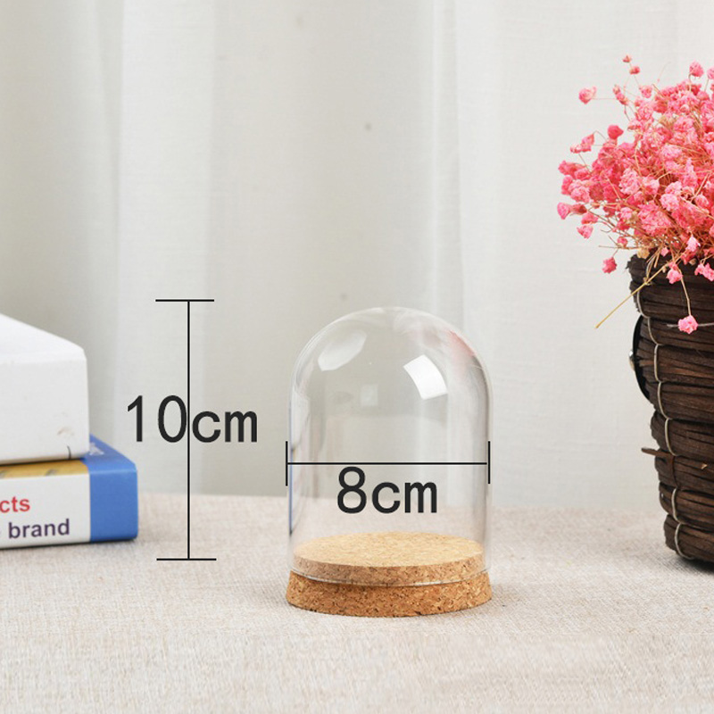 Glass Dome Cover For Flower Su - Terrarium Glass Bottle review and price