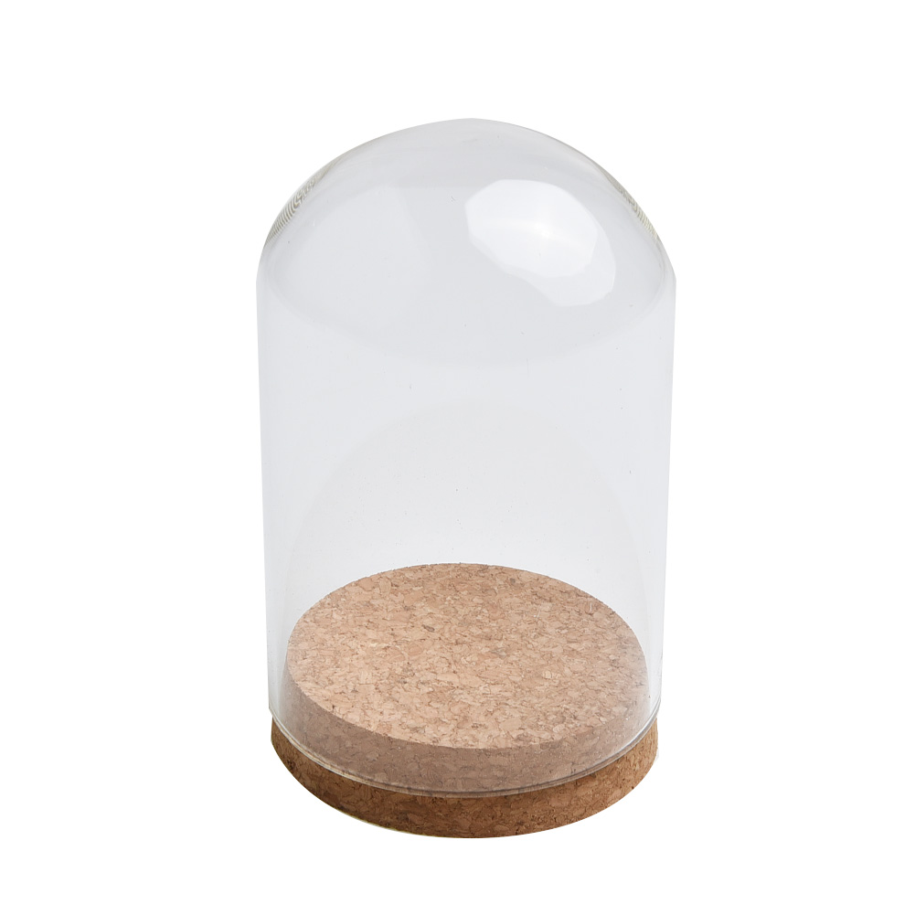 Glass Dome Cover For Flower Su - Terrarium Glass Bottle review and price