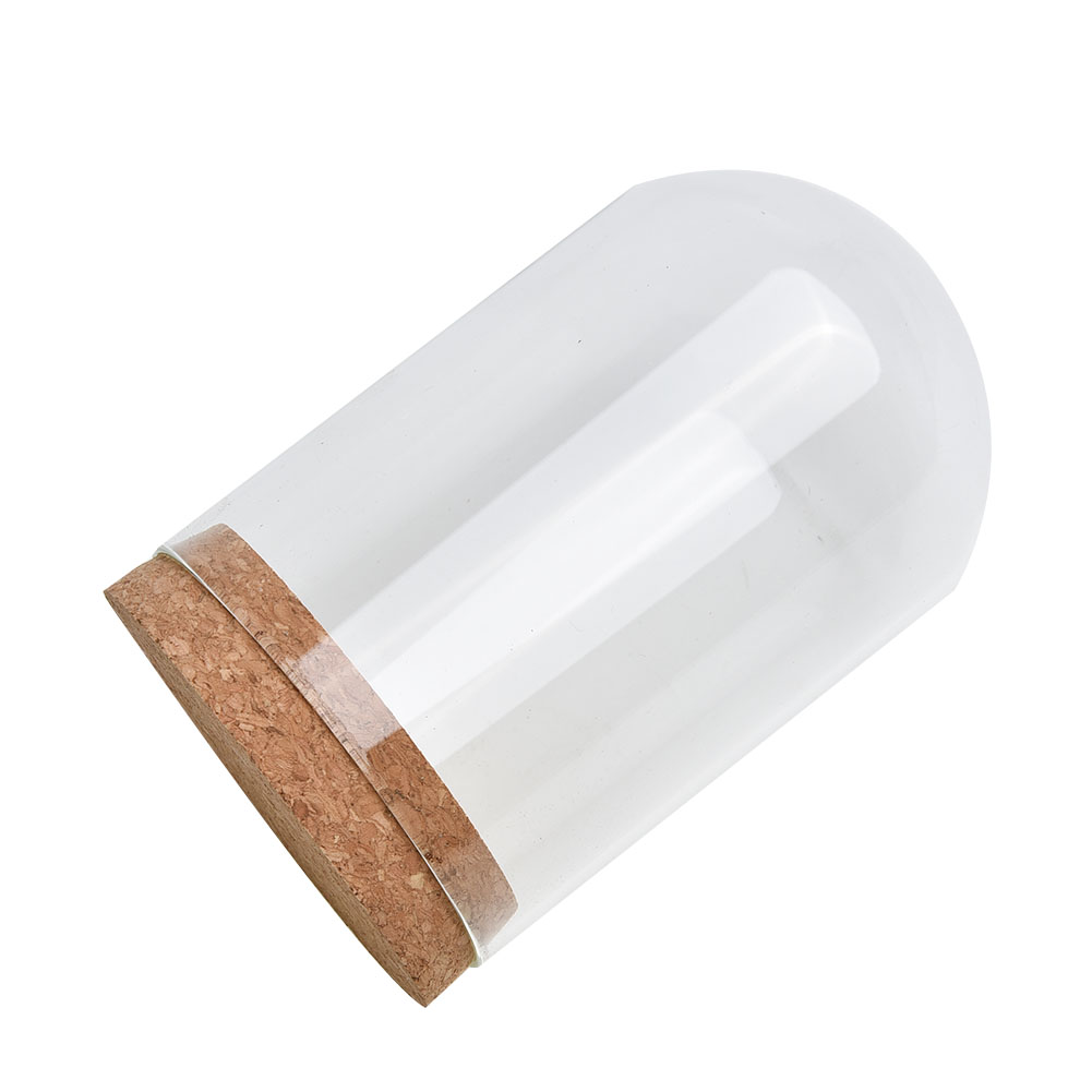 Glass Dome Cover For Flower Su - Terrarium Glass Bottle review and price
