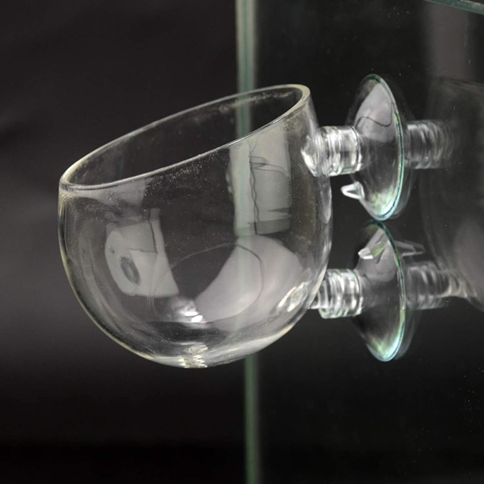 Aquarium Plant Holder Glass Aq - Terrarium Glass Bottle review and price