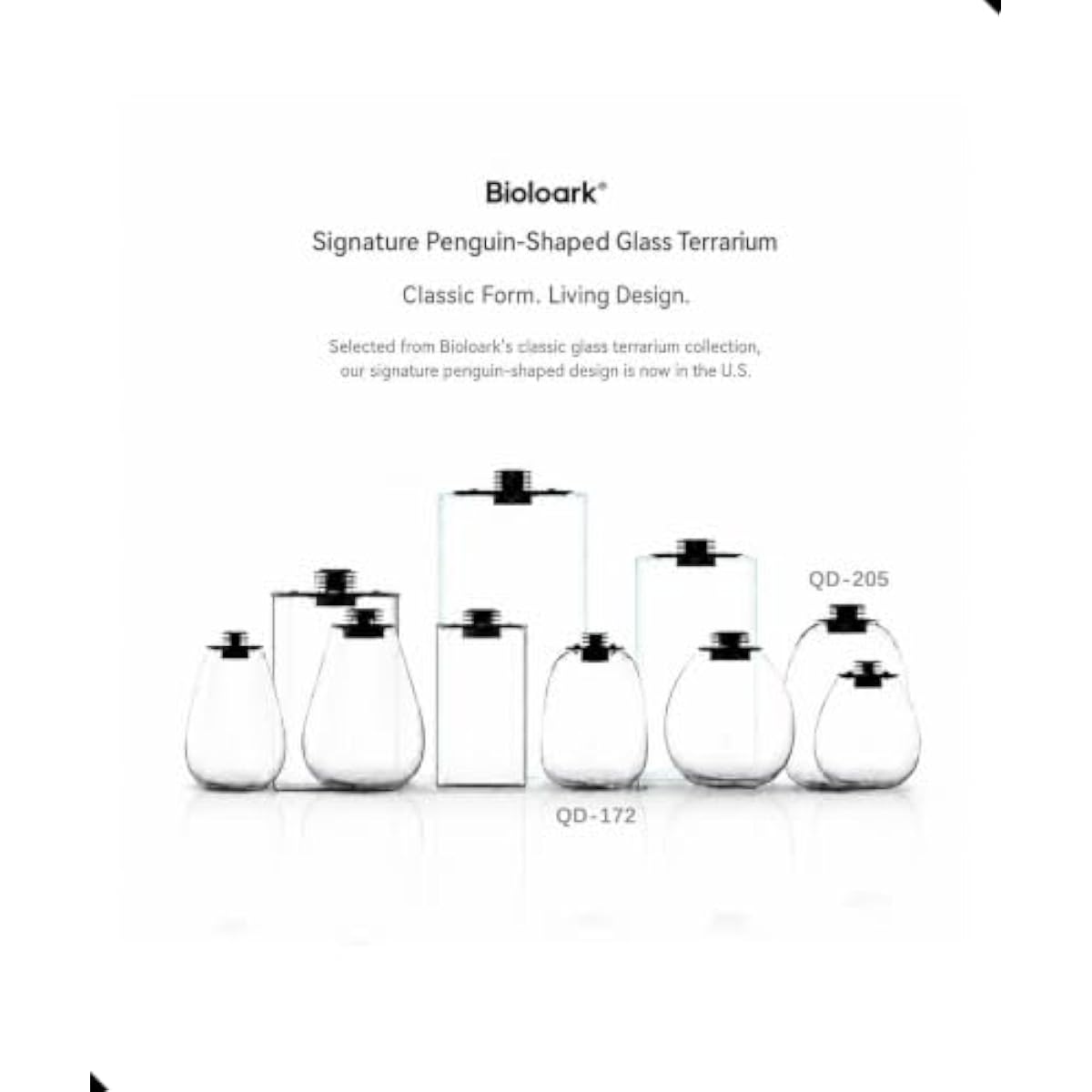 Round Bio Bottle Terrarium wit - Terrarium Glass Bottle review and price