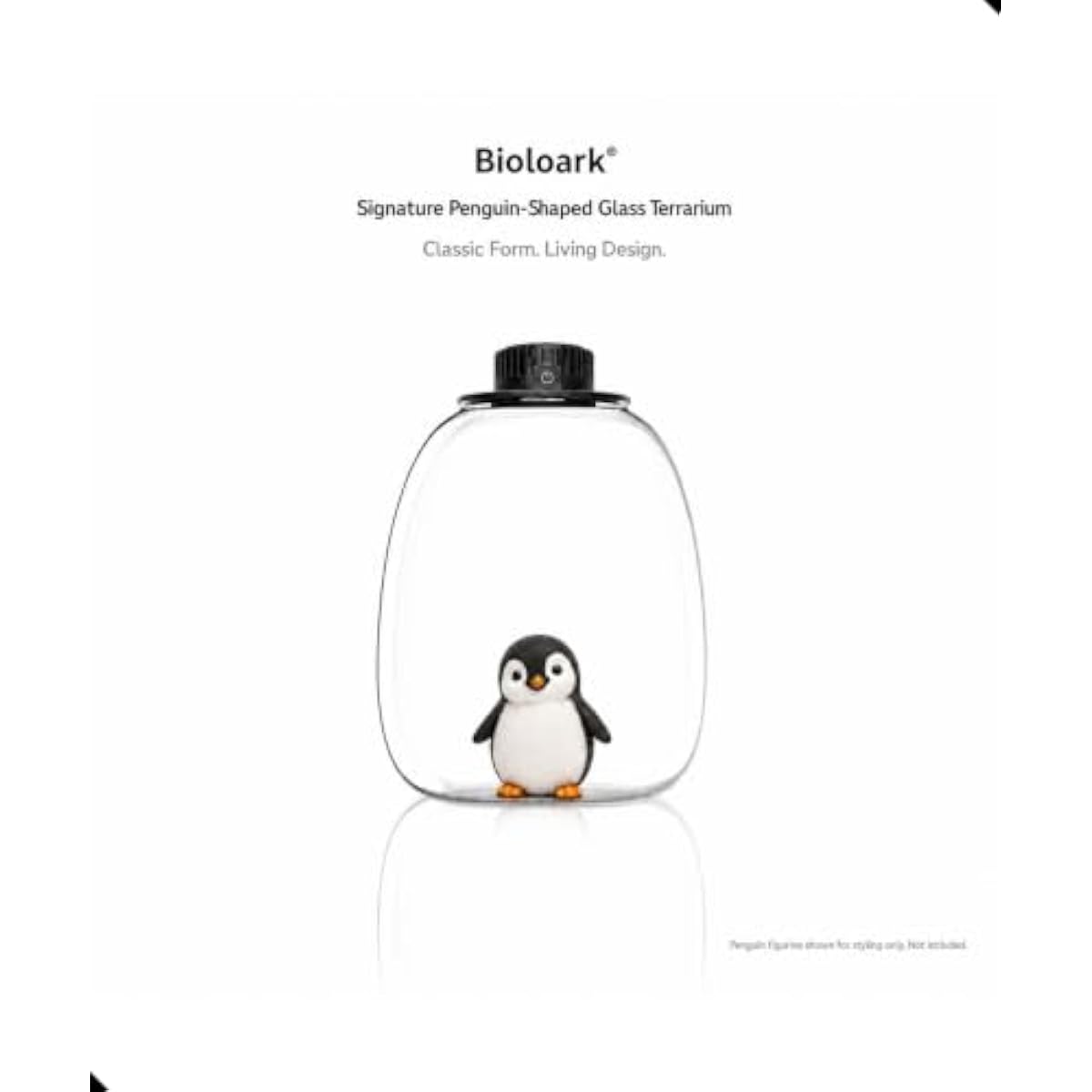 Round Bio Bottle Terrarium wit - Terrarium Glass Bottle review and price