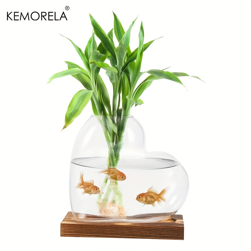 Love Hydroponic Vase 1/2PCS Gr - Terrarium Glass Bottle review and price