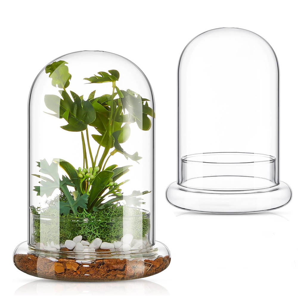 Glass Dome with Airhole Glass  - Terrarium Glass Bottle review and price