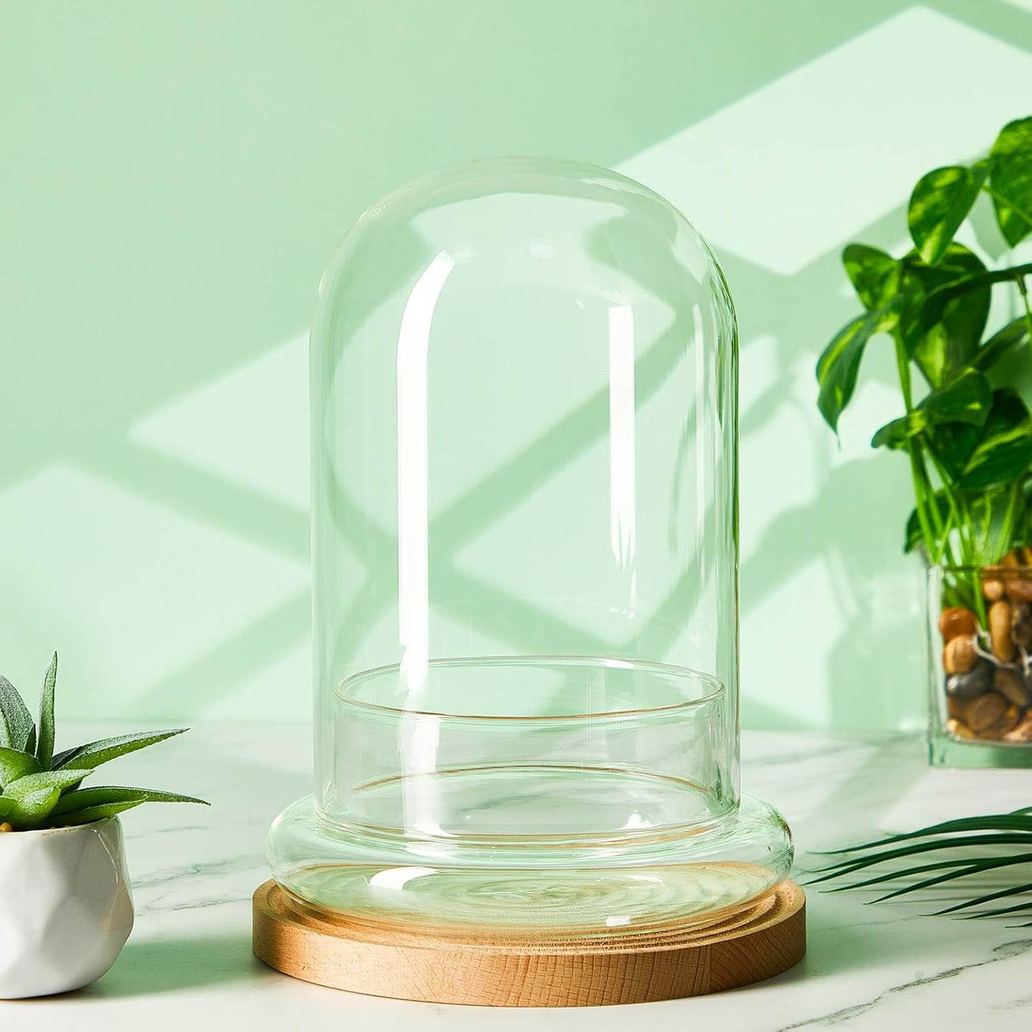 Glass Dome with Airhole Glass  - Terrarium Glass Bottle review and price