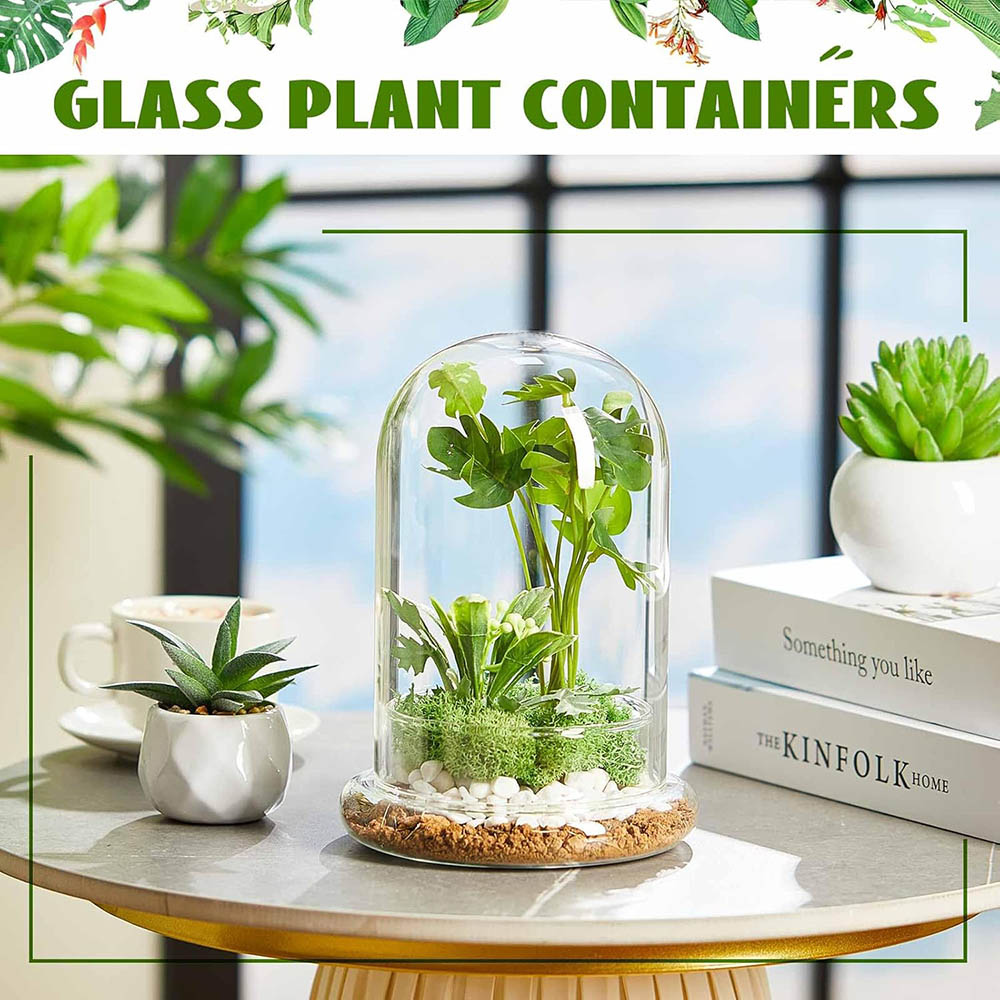 Glass Dome with Airhole Glass  - Terrarium Glass Bottle review and price