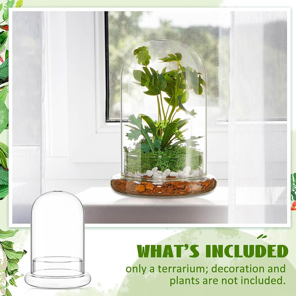 Glass Dome with Airhole Glass  - Terrarium Glass Bottle review and price