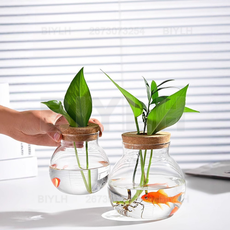 Hydroponic Plant Glass Vase Wi - Terrarium Glass Bottle review and price