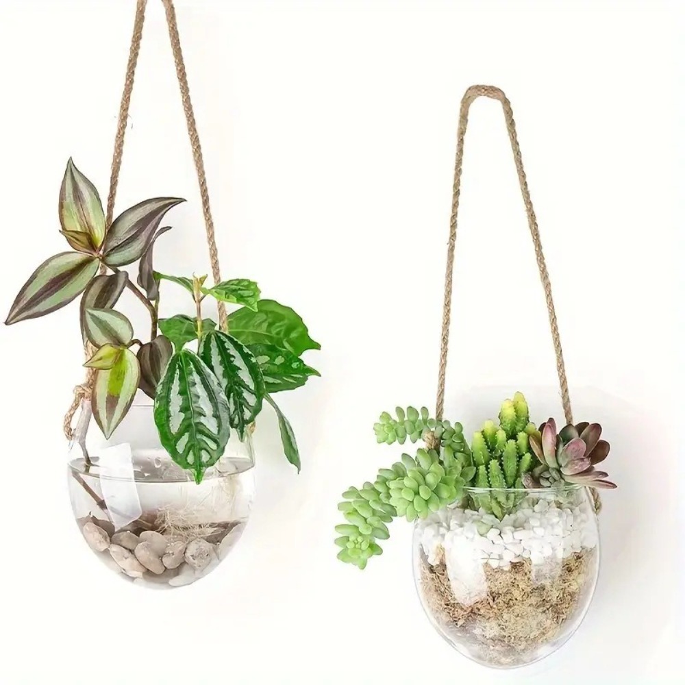 Transparent Hydroponic Hanging - Terrarium Glass Bottle review and price