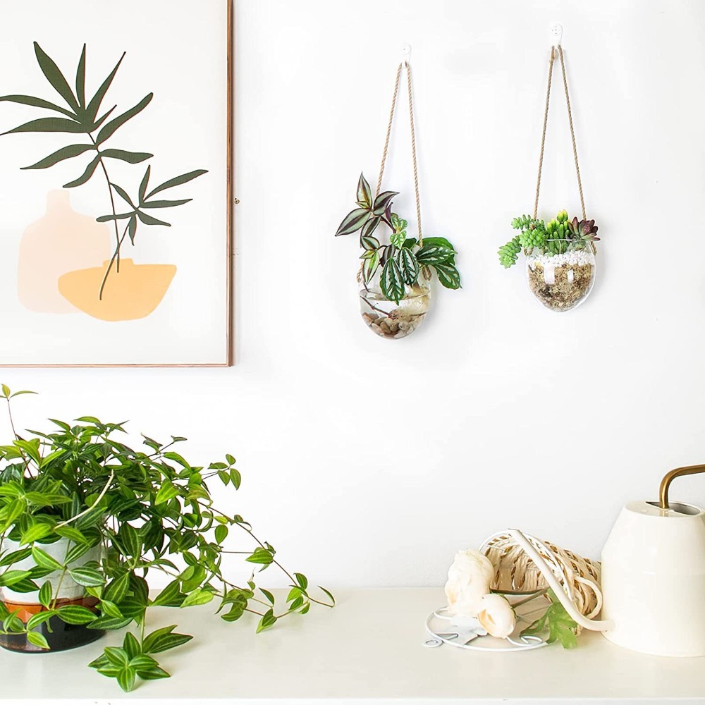 Transparent Hydroponic Hanging - Terrarium Glass Bottle review and price