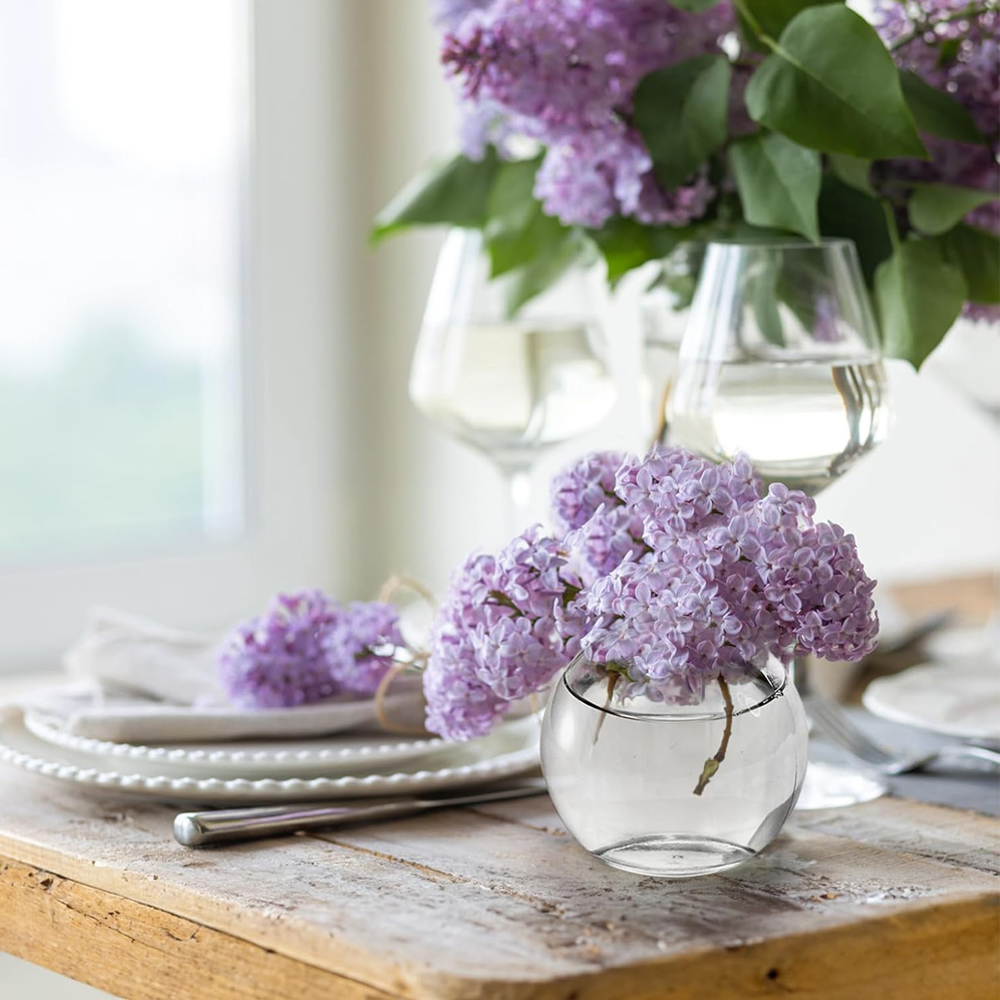 Decorative Glass Bottles with  - Terrarium Glass Bottle review and price