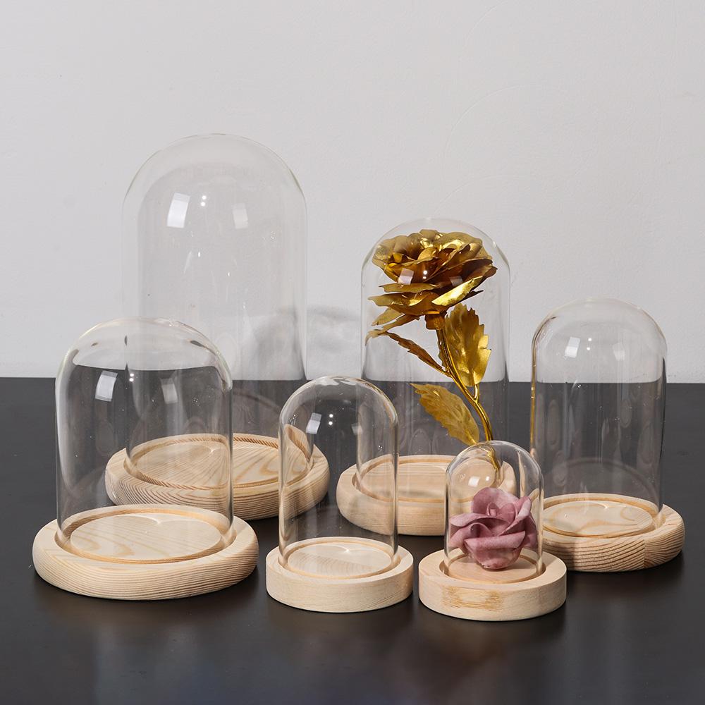 Terrarium Tabletop Fairy Light - Terrarium Glass Bottle review and price