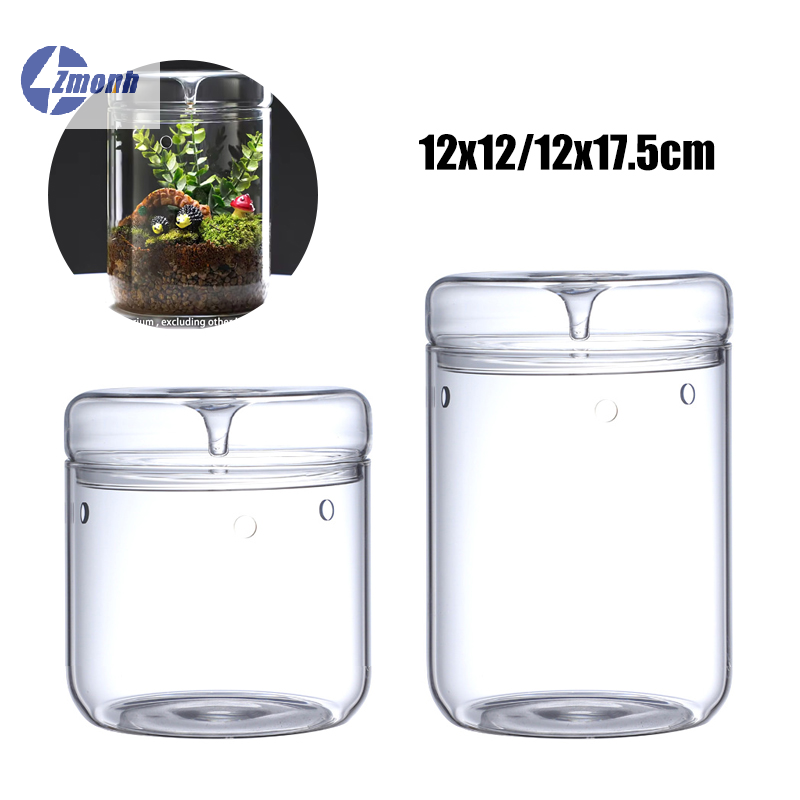New！Micro Landscape Glass Bott - Terrarium Glass Bottle review and price
