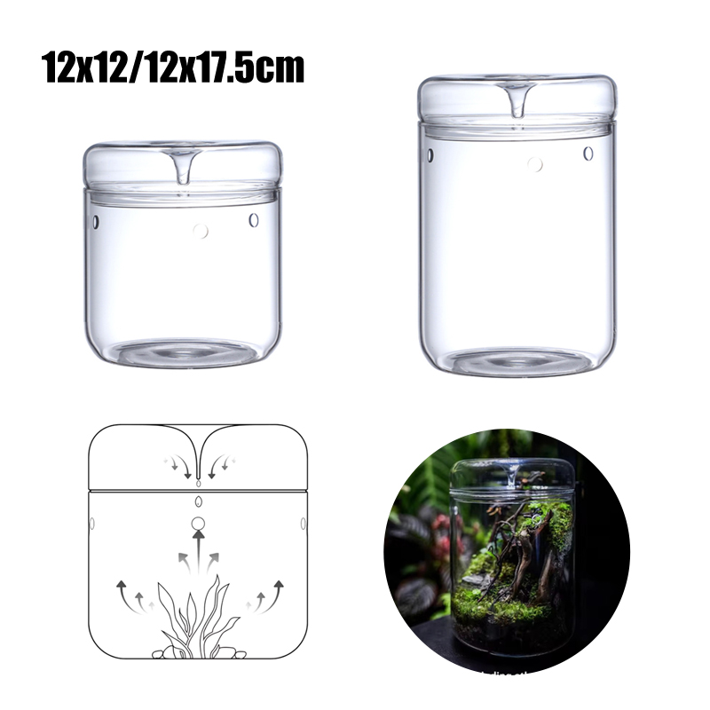 New！Micro Landscape Glass Bott - Terrarium Glass Bottle review and price
