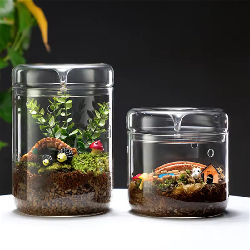 New！Micro Landscape Glass Bott - Terrarium Glass Bottle review and price