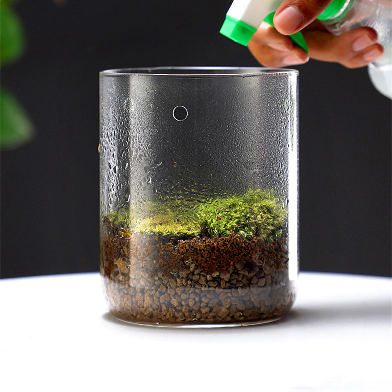 New！Micro Landscape Glass Bott - Terrarium Glass Bottle review and price