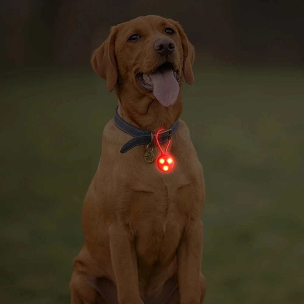 Outdoor Backpack Lights Silico - Rope Light Decoration review and price