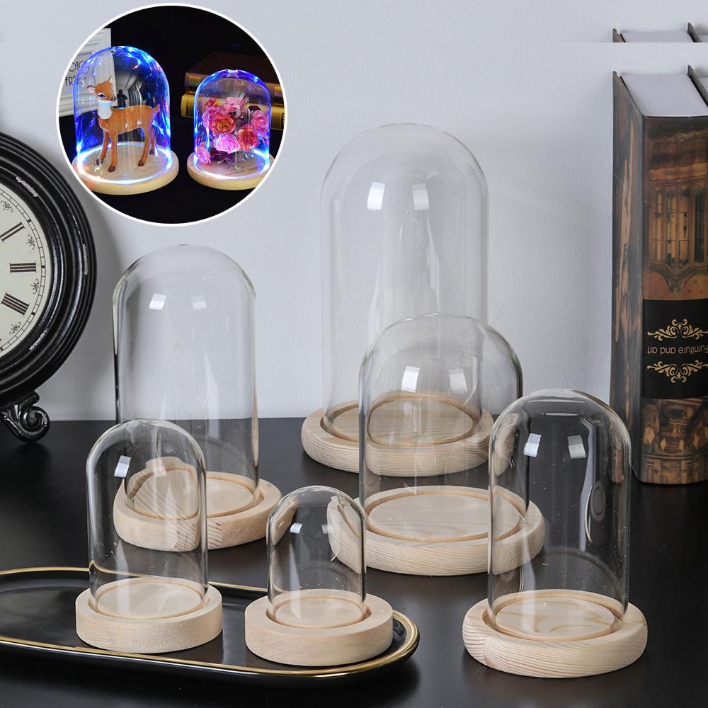 Glass Cloche Jar Display Stand - Terrarium Glass Bottle review and price