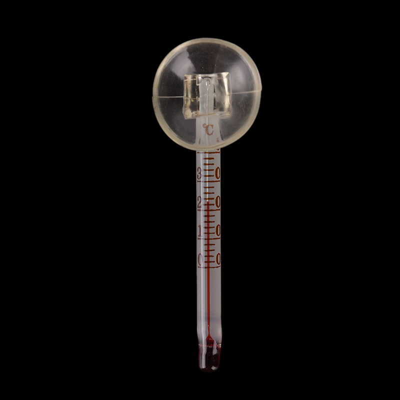 Glass meter aquarium fish tank - Terrarium Glass Bottle review and price