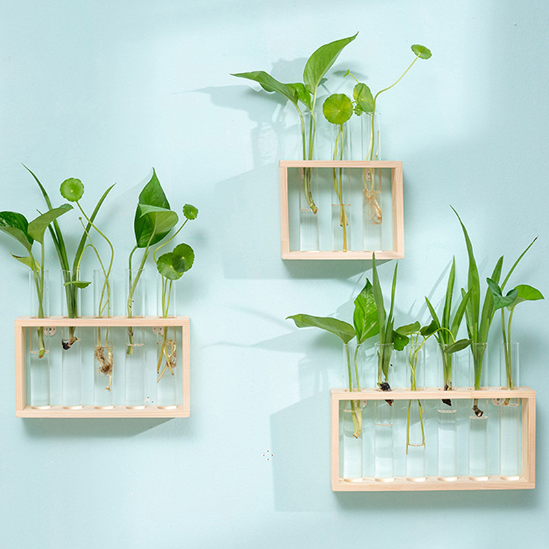 Hydroponic Plants Container wi - Terrarium Glass Bottle review and price