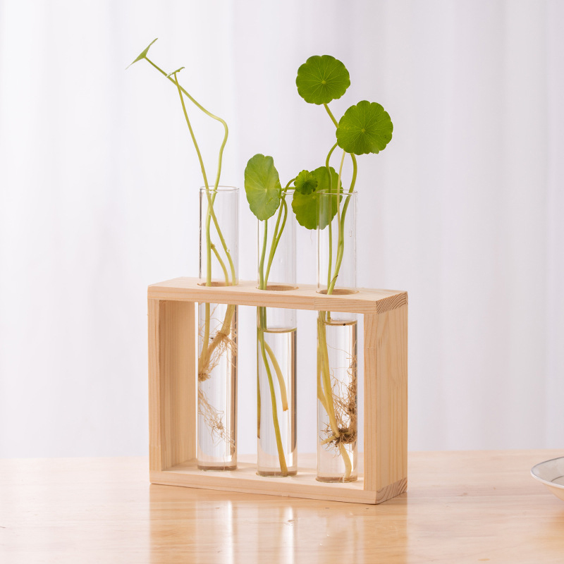 Hydroponic Plants Container wi - Terrarium Glass Bottle review and price