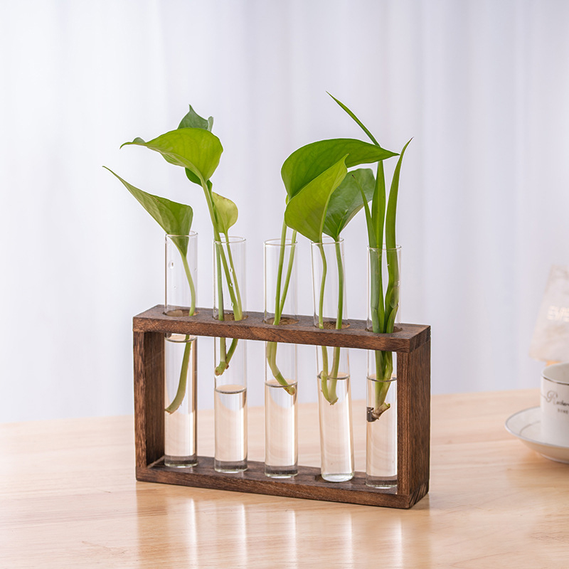 Hydroponic Plants Container wi - Terrarium Glass Bottle review and price