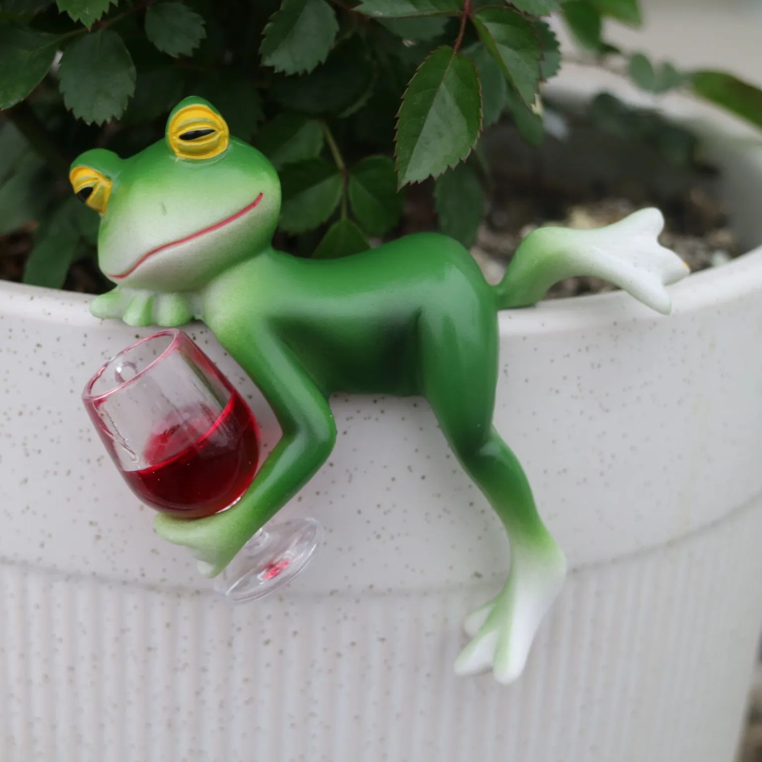 A delightful green frog and wi - Terrarium Glass Bottle review and price